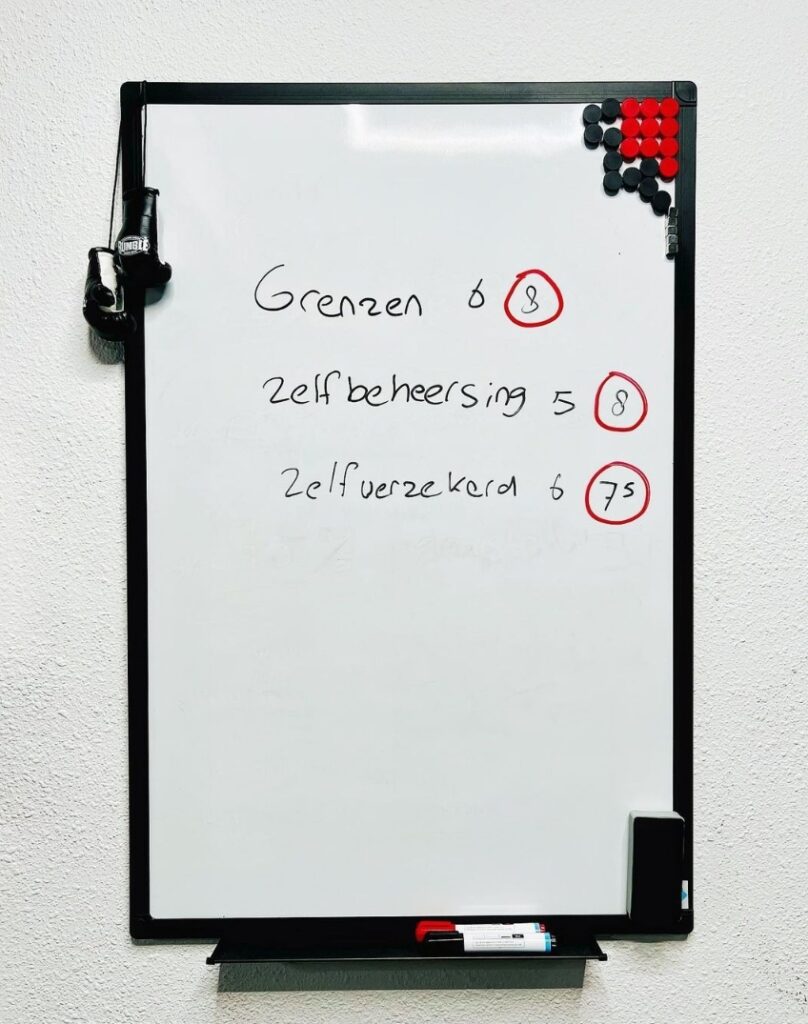 resultaat coaching loogfit